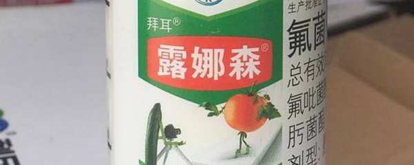 月季生病都用一些什么药